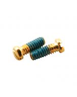 Coated Rim Screws H1.8 X D1.5 X L2.5mm Gold 25 Pcs