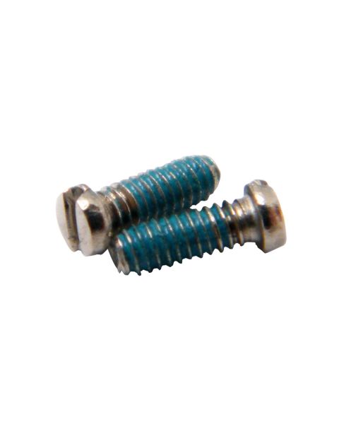 Coated Rim Screws